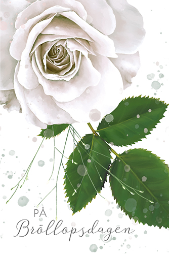 Pakettikortti hää R Annika Nykänen