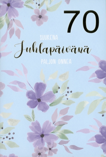 2-os vuosikortti 70v