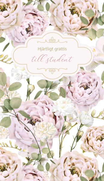 2-os ylioppilas R Mainelakeus