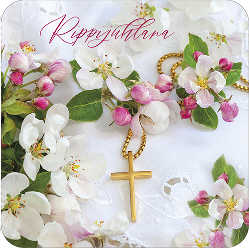 2-os rippi neliökortti