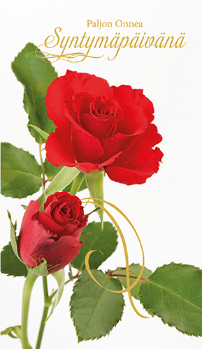 2-os syntymäpäivä