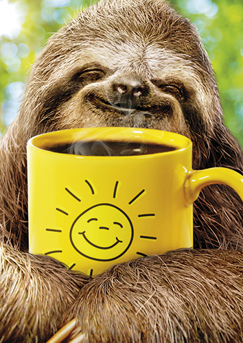 1-os hupikortti Avanti