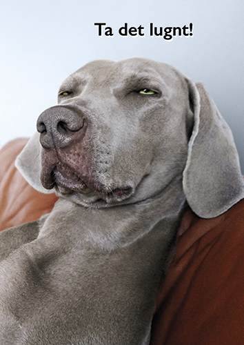 1-os hupikortti R Avanti