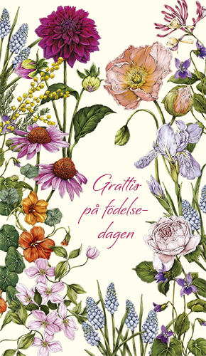 2-os kortti R Catherine Lewis