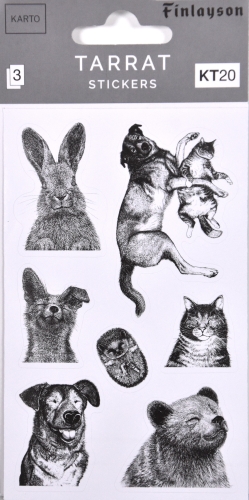 Tarra KT20 Finlayson Selviytyjät