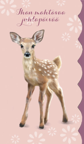 2-os kortti Mainelakeus