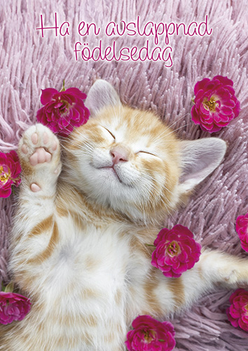 1-os syntymäpäivä R