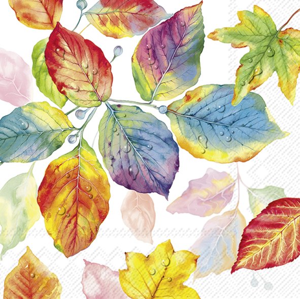 COLORFUL LEAVES 25cm