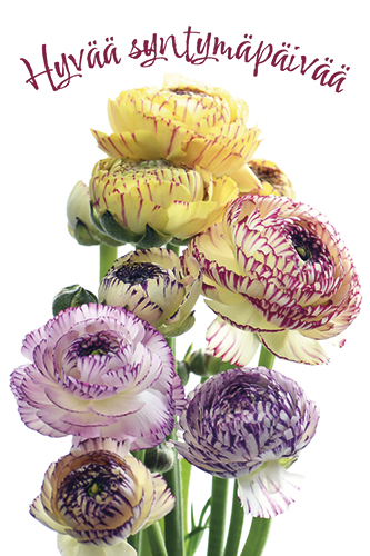 Pakettikortti syntymäpäivä