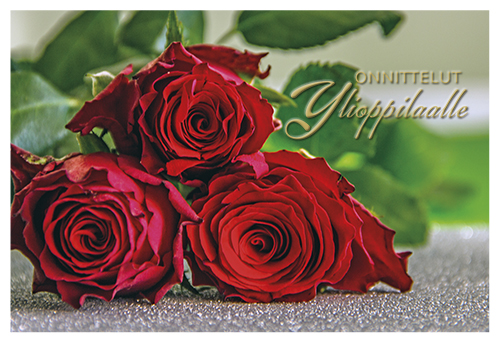 2-os Ylioppilas setelitasku 