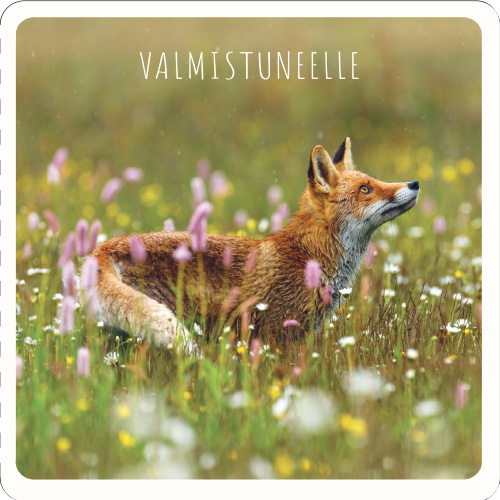 2-os Valmistunut neliökortti