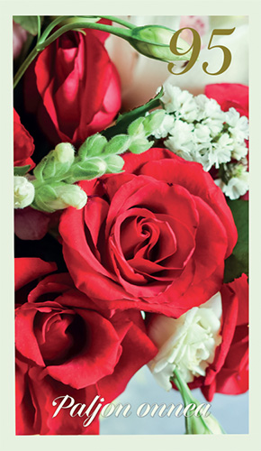 2-os vuosikortti95v folionumero