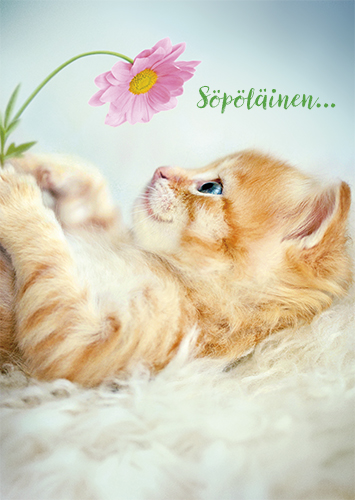 1-os hupikortti Avanti 