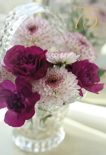 2-os vuosikortti R 75v