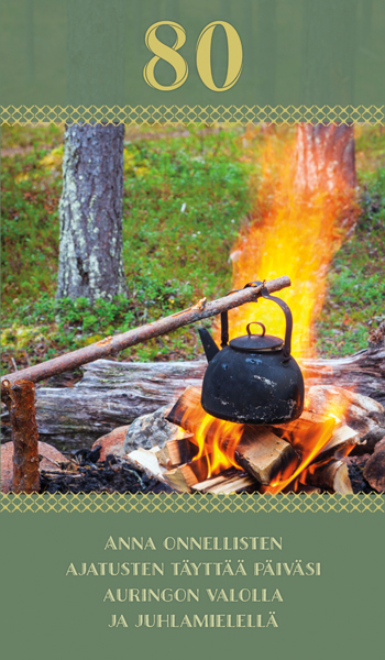 2-os vuosikortti 80v