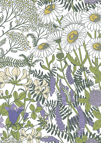 1-os kortti Vallila Ahomaa sinivalkoinen