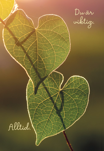 2-os kortti Mieli ry R