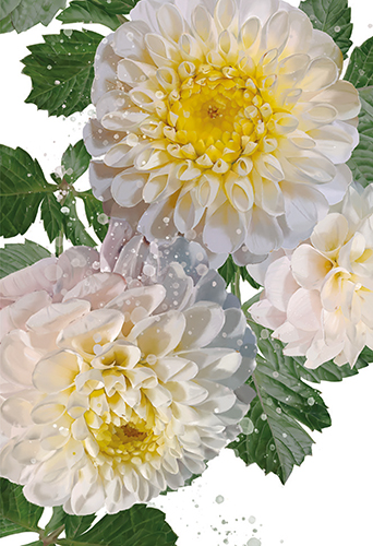 2-os kortti Annika Nykänen
