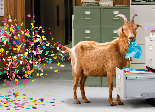 1-os hupikortti Avanti