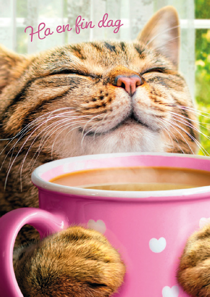 1-os hupikortti Avanti