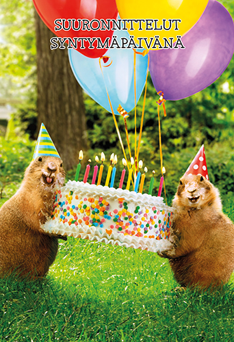 2-os hupikortti Avanti