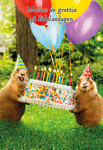 2-os hupikortti R Avanti