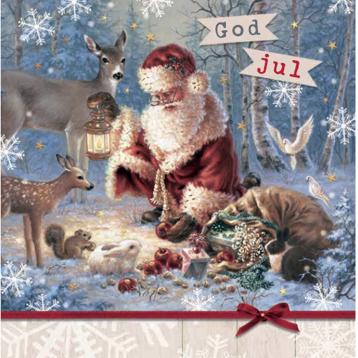 1-os joulu R TMS joulumaa