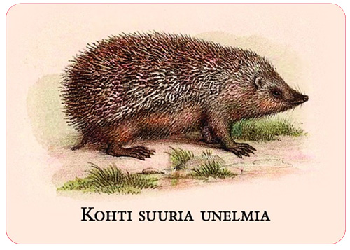 1-os ajatelmakortti Maroy