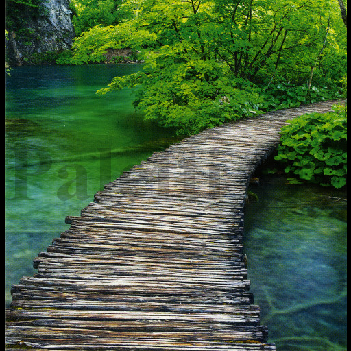 1-os neliökortti Aquarupella