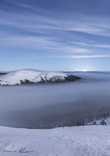 Juliste A4 Tommi Hynynen