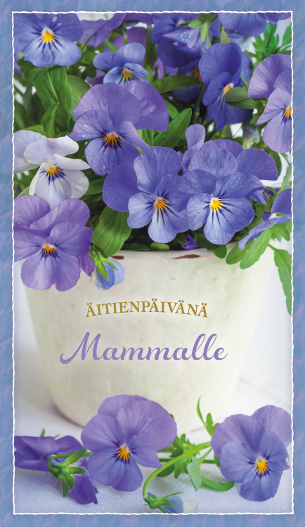 2-os mamma Jorma Jämsen