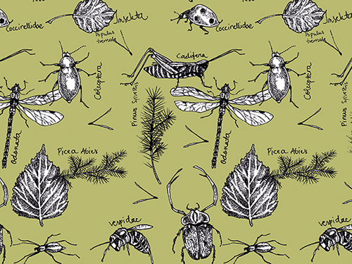 Juliste 30x40cm Ötökät