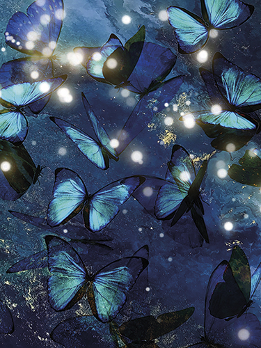 Juliste 60x80cm Siniset perhoset