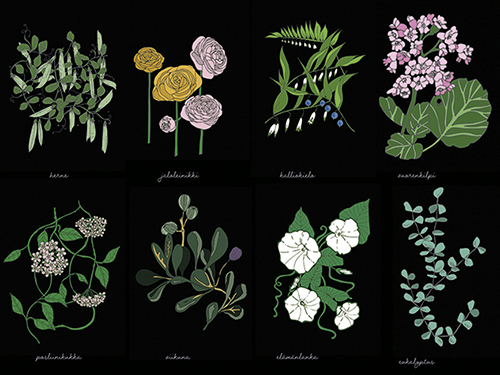 Juliste 60x80cm Kasvisto