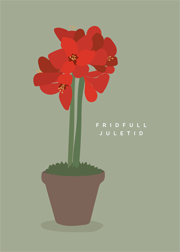 1-os Joulu R Helle Visuals