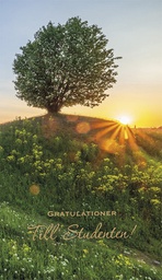 [27P4092] 2-os ylioppilas R