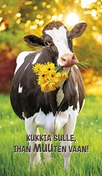 [2920087] 2-os hupikortti Avanti