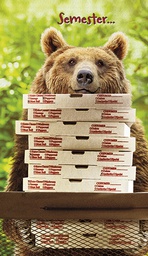 [2920091] 2-os hupikortti Avanti R