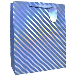 [6641543] Lahjakassi L/F hologrammi raita