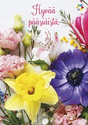 [162436] 1-os pääsiäinen Syöpäpotilaat PMM