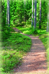 [3305101] Pakettikortti ilman tekstiä