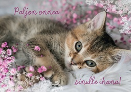 [25P20110] 1-os onnittelu