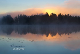 [19P05661] 2-os osanotto
