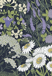 [4904673] 2-os kortti Vallila Ahomaa sininen