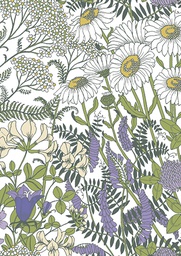 [2725576] 1-os kortti Vallila Ahomaa sinivalkoinen