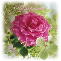 [29464] 2-os äitienpäivänä neliökortti Kati Pekkarinen