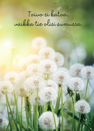 [27P00455] 1-os kortti Mieli ry