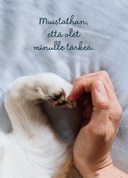 [27P00456] 1-os kortti Mieli ry