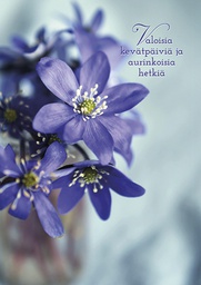 [2725563] 1-os kortti kevät