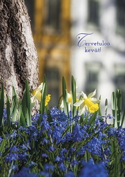 [2725564] 1-os kortti kevät